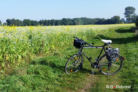Radtour Ems 10.10.2015